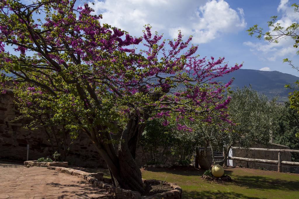 Casa Rural Los Lilos Gotor 객실 사진