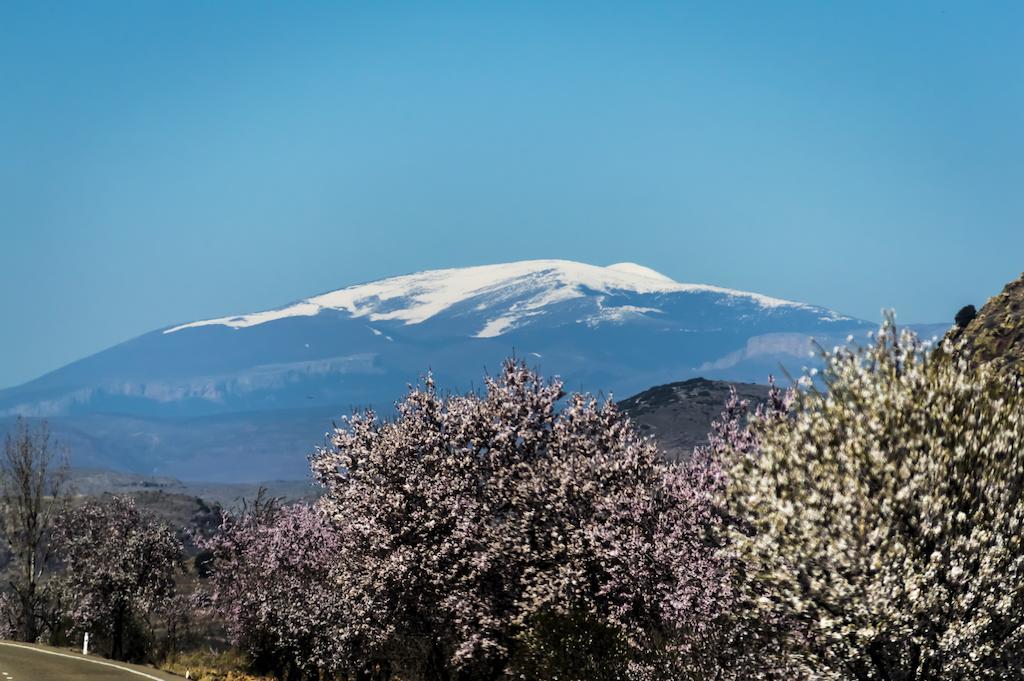 Casa Rural Los Lilos Gotor 객실 사진